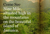 Nine mile jamaica