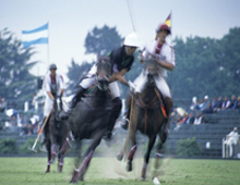 Fractional Argentina